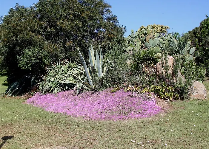 Baia Salinedda Aparthotel